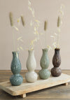 Vaso Ivy mix color